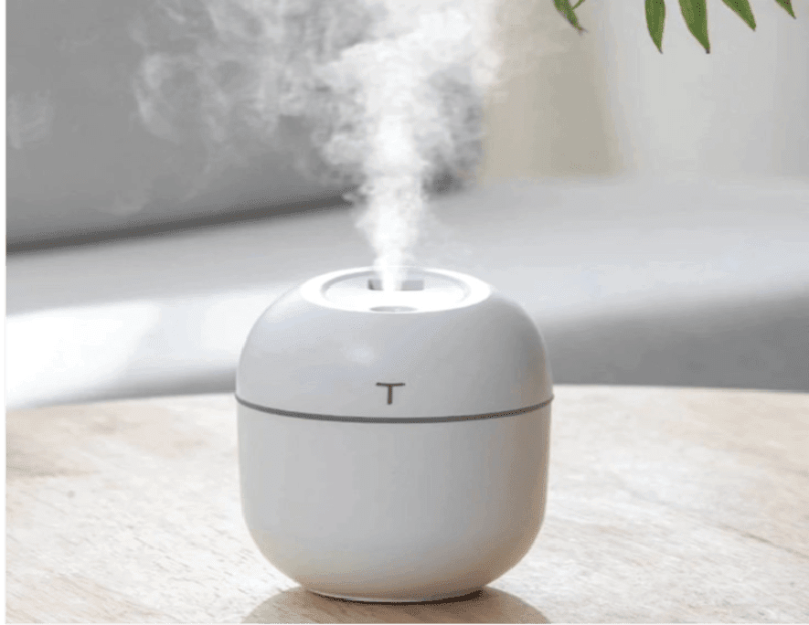 Humidifier emitting mist